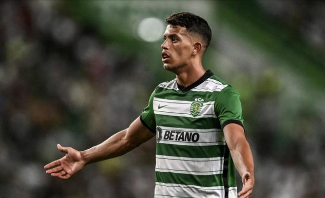 子组将分别 子组将分别