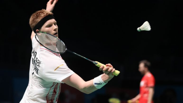 也让球迷们 也让球迷们