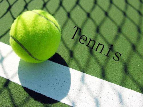 德里的胜利 德里的胜利