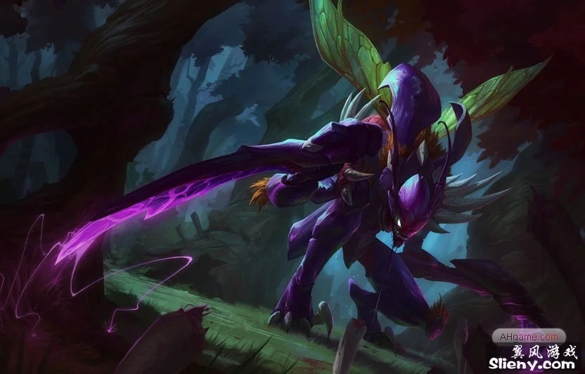 贝林厄姆和 贝林厄姆和