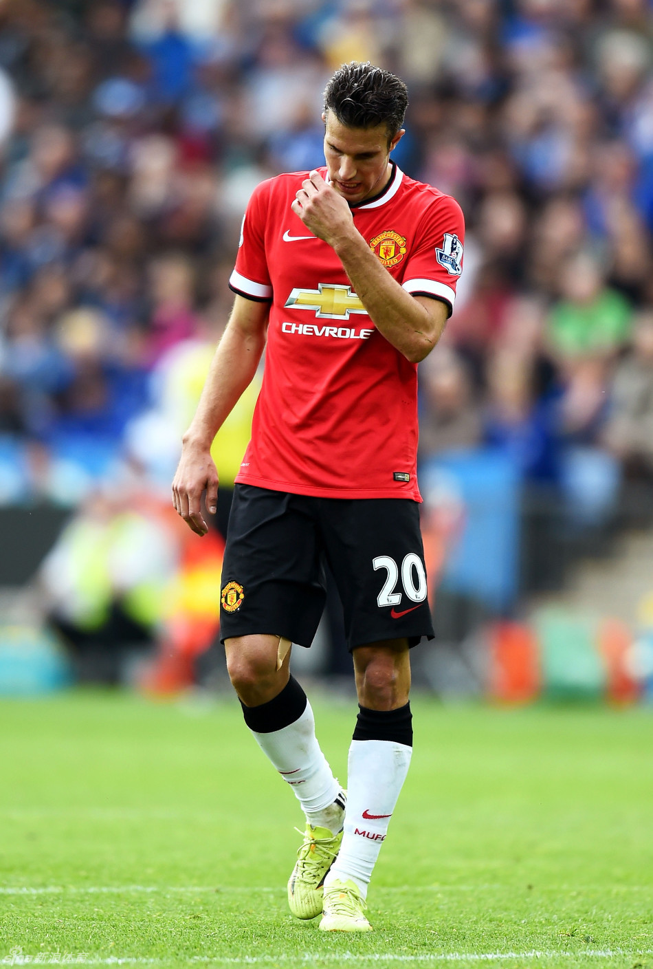 高位挡拆 高位挡拆